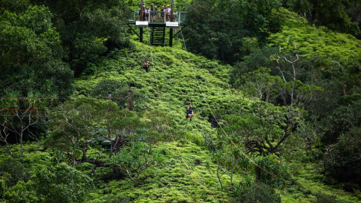 Jurassic Valley Zipline at Kualoa Ranch