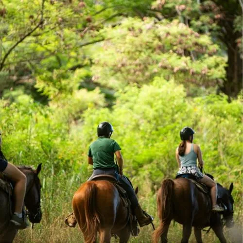 A couple of Kualoa guests riding hor ses during the horseback riding tour