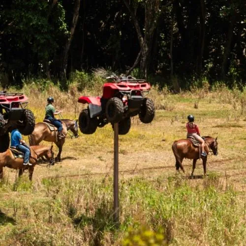 Horseback riding tour with ATV