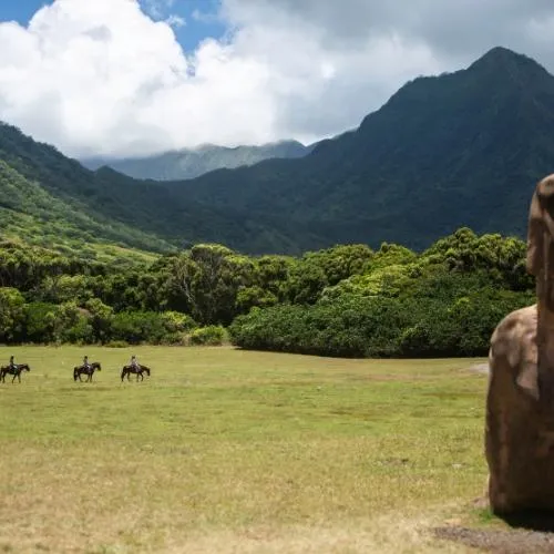 Horseback riding tour in kualoa valley