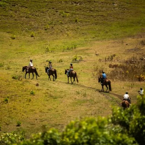 A group of guests horseback riding in Kualoa Ranch