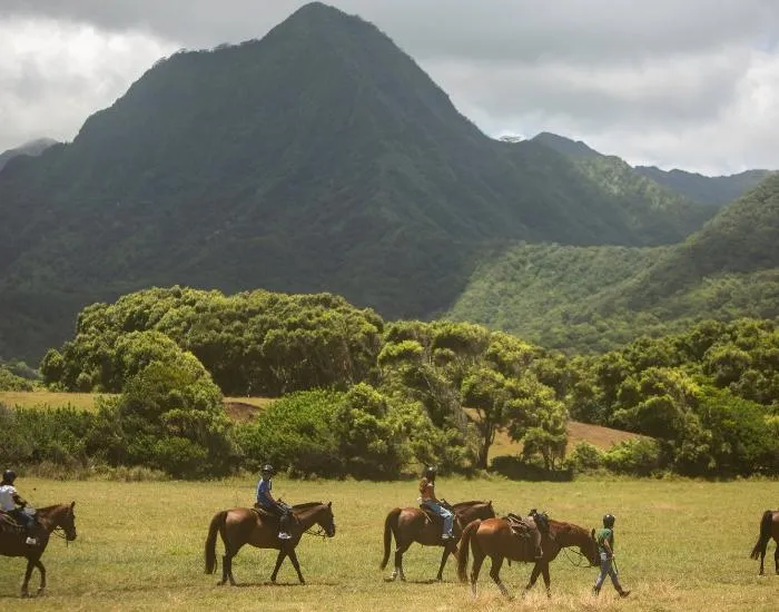 Guests on Horseback Walking Tour in Kualoa Ranch