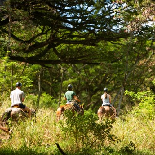 Three Guests on Horseback in Kualoa ranch