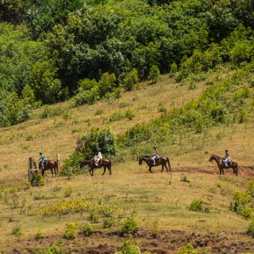 tour guide leading horseback tour in kualoa ranch