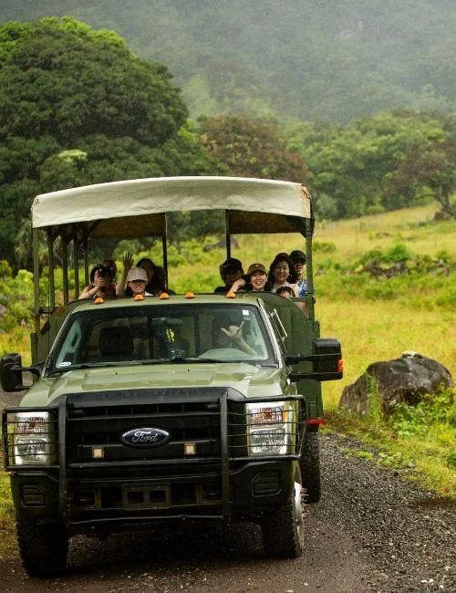 jeep in kualoa ranch for jurassic adventure tour 