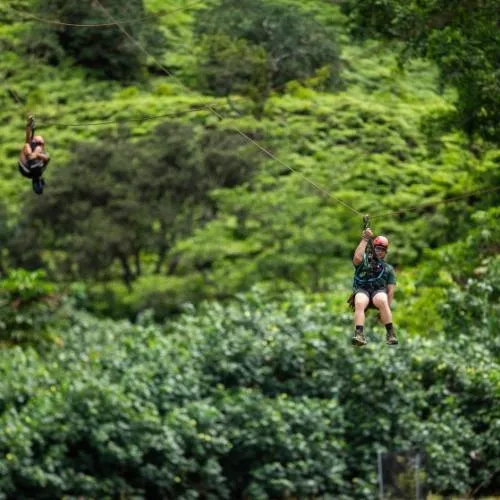 2 people ziplining at Jurassic Valley Zipline Adventure 