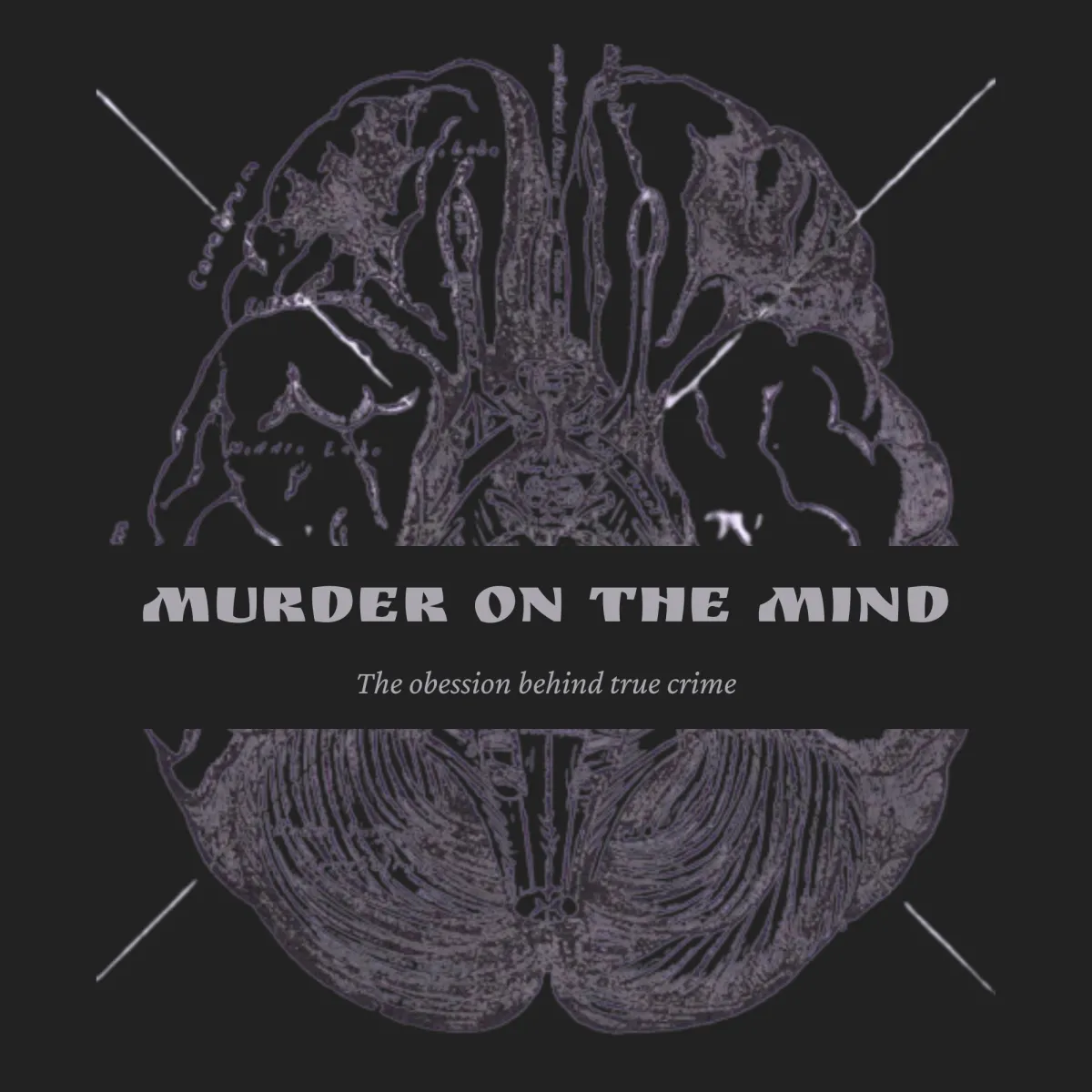 Production desk with laptop, notes, coffee, and microphone in moody lighting.