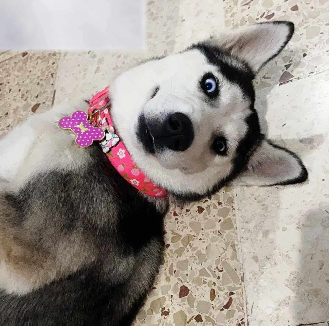 black Aston Martin convertible coupe parked beside blue concrete bridge