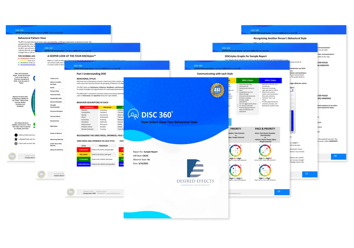 Everything DiSC 360 Assessment