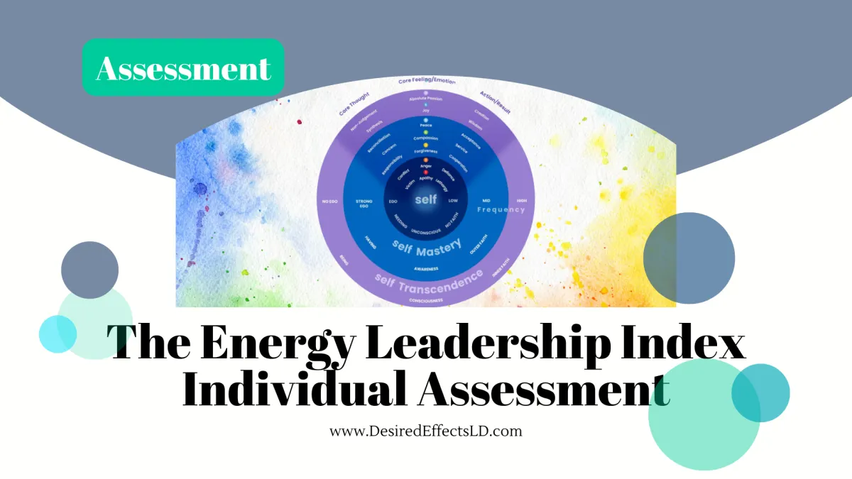 The Energy Leadership Index Individual Assessment