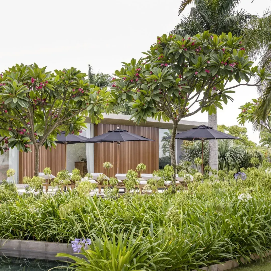 Landscaping 