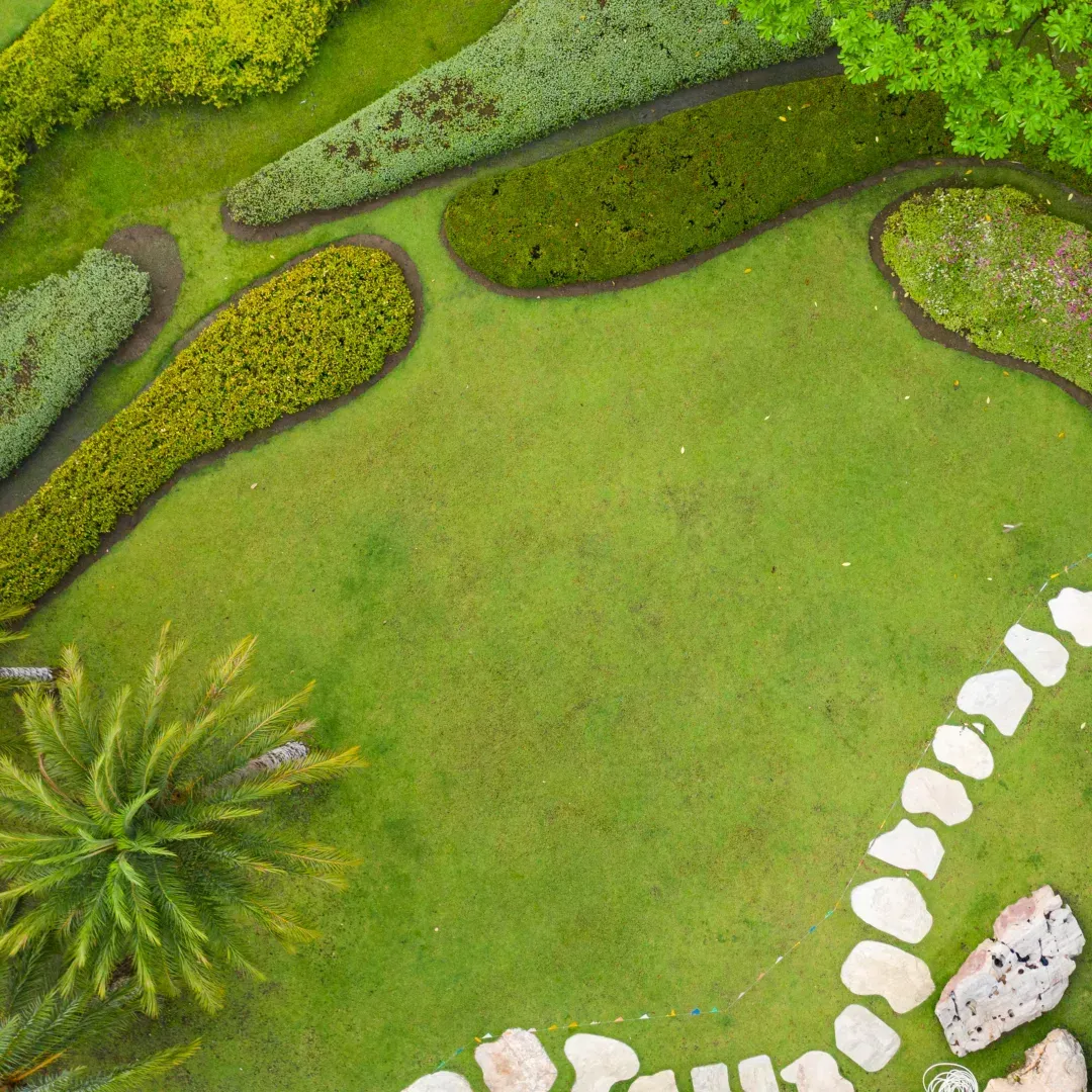 Landscaping 