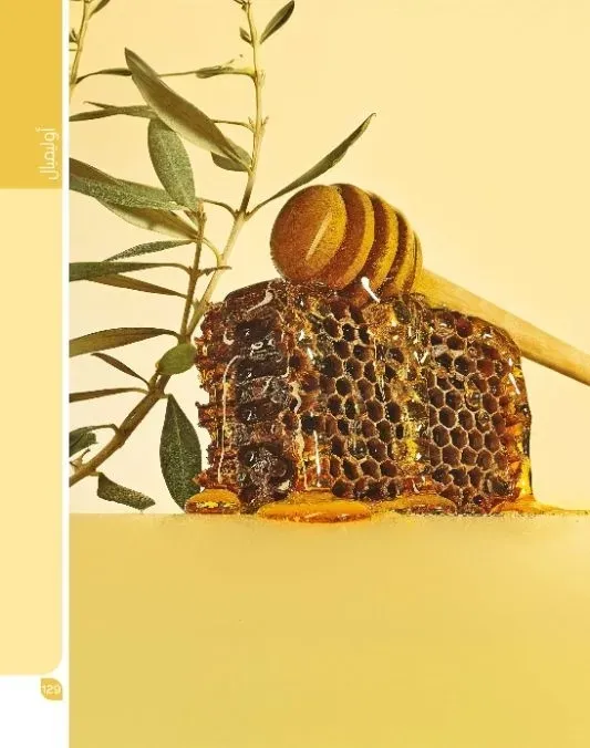 white roses in close up photography