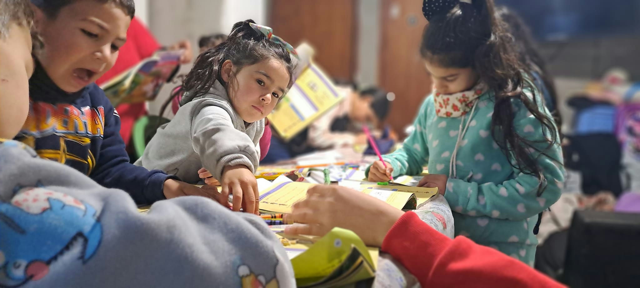 Aquaponia – Sustainable Food Production