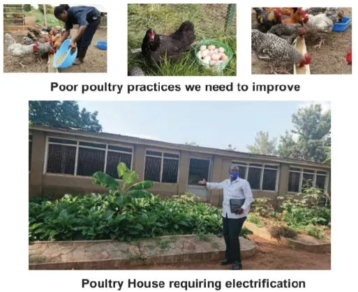 Overlapping landscape photo of a cooperative water-harvesting project with a multi-generational team inspecting systems at sunset, warm tones, high-quality editorial photography showing long-term vision and collaboration.