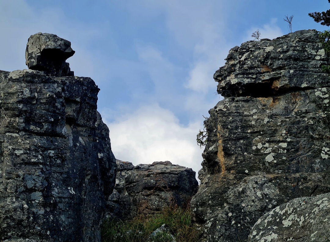Overlapping landscape photo of a cooperative water-harvesting project with a multi-generational team inspecting systems at sunset, warm tones, high-quality editorial photography showing long-term vision and collaboration.