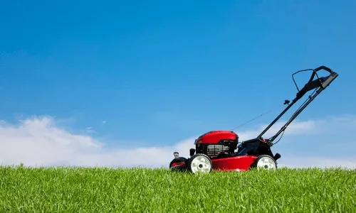 Palisade Junk Removal