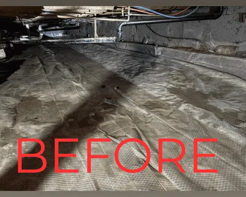 Cleaning Grand Junction