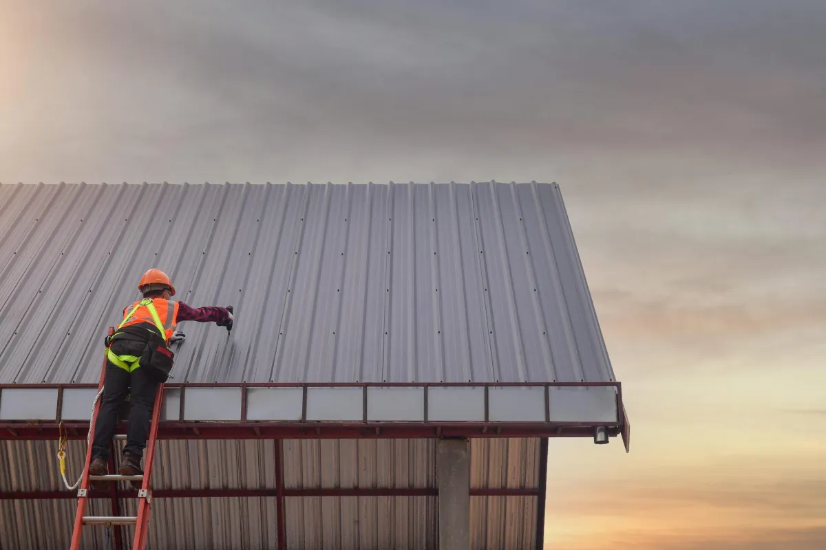a bird is perched on the roof of a building