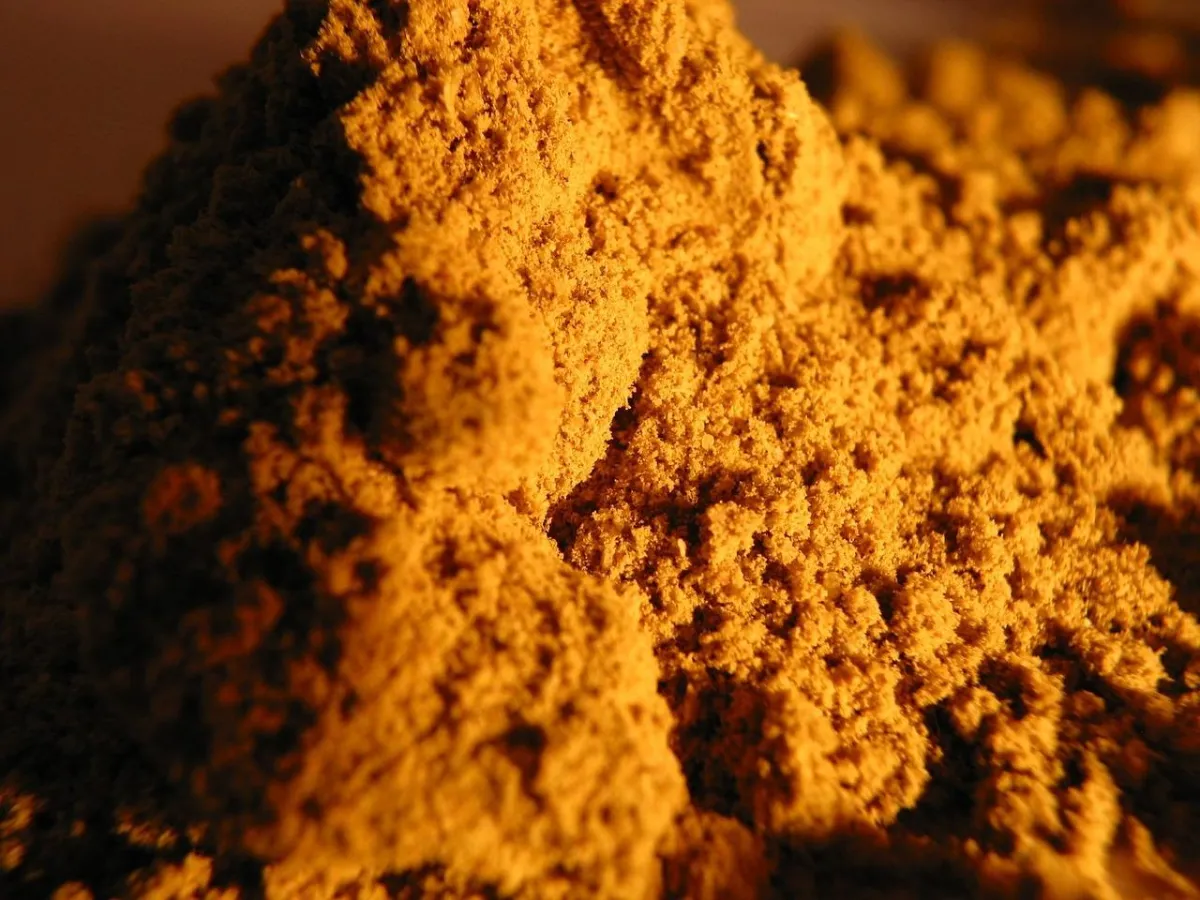 Organic Pea Protein Powder | Jianmar Foods LLC