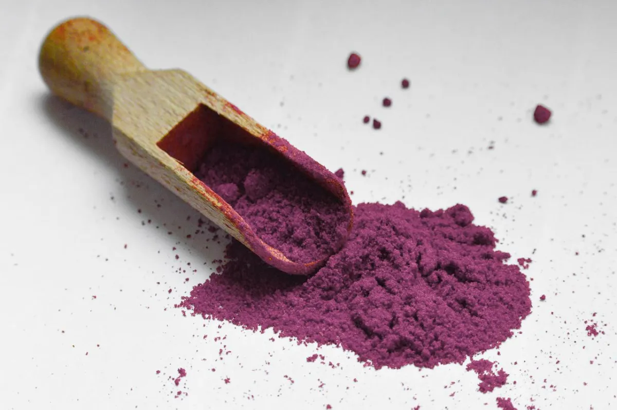 Echinacea Extract Powder | Jianmar Foods LLC