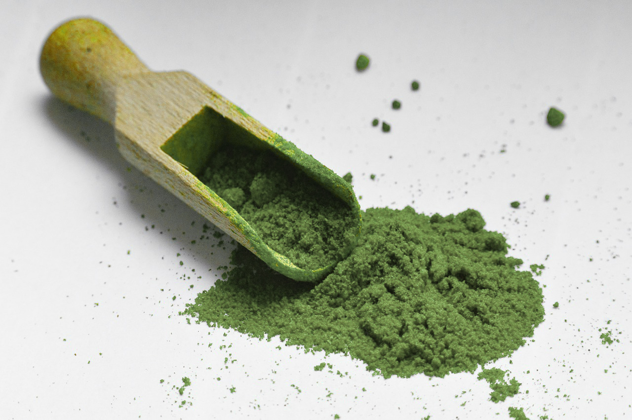 Olive Leaf Extract Powder | Jianmar Foods LLC