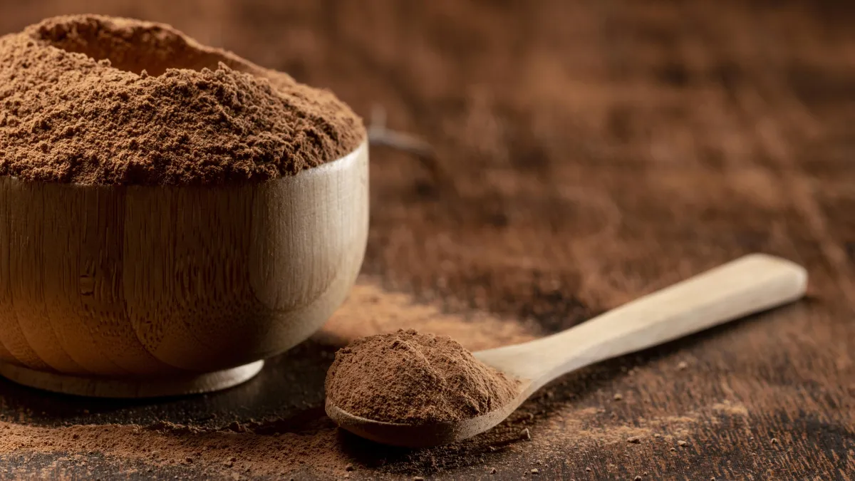 Organic Chaga Powder | Jianmar Foods LLC