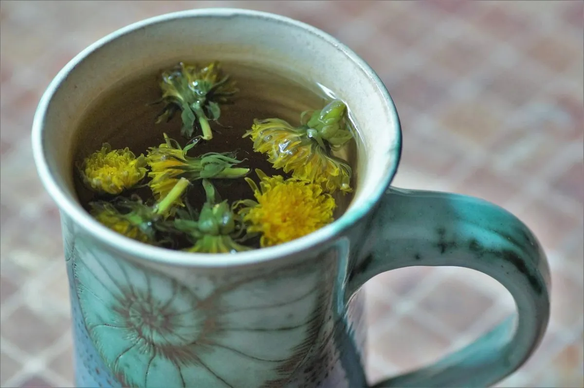 Organic Dandelion Extract | Jianmar Foods LLC