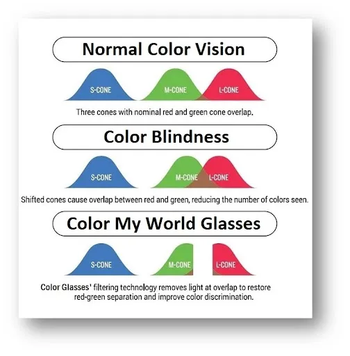 color vision deficiency testing