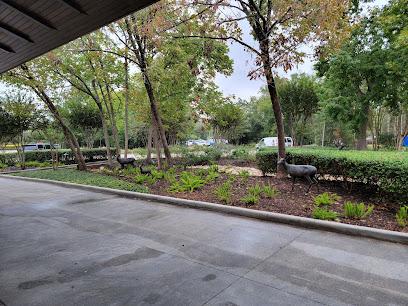 Neighborhood in Woodlands