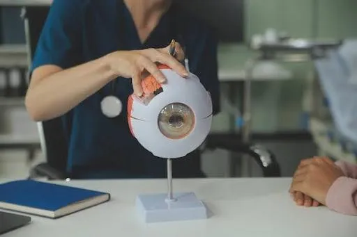  vision rehabilitation