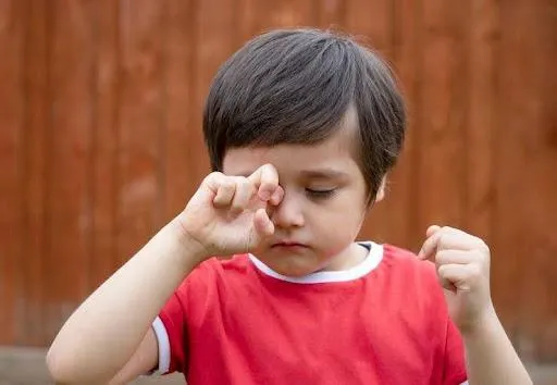 daily myopia contacts