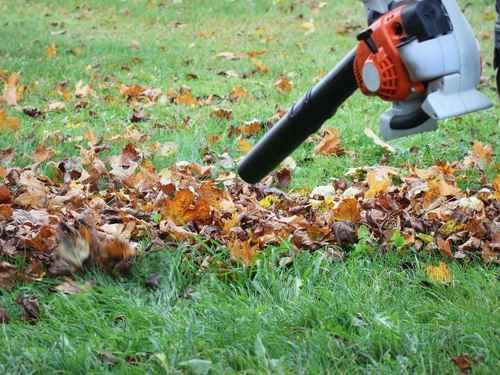 Fall Clean-ups in Arlington