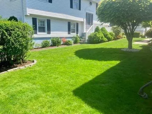 Fertilizing in Arlington