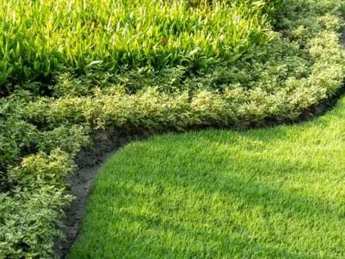 Belmont Edging