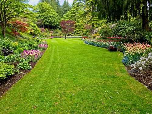 Lawn Maintenance Arlington