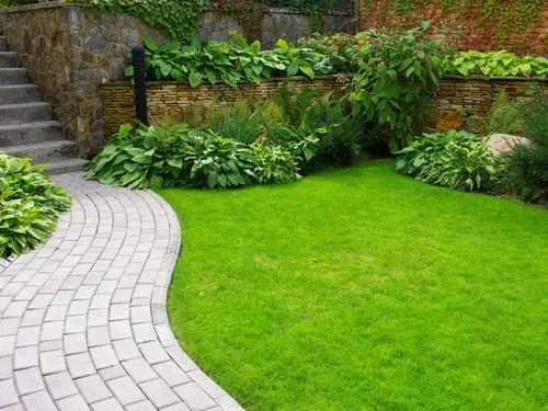  Lawn Maintenance
