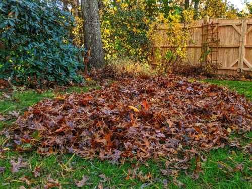  Lawn Maintenance