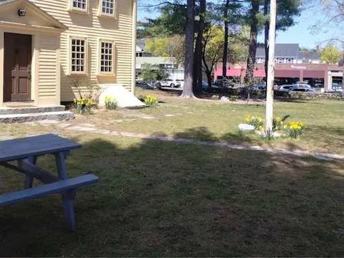 Fall Clean-ups Arlington