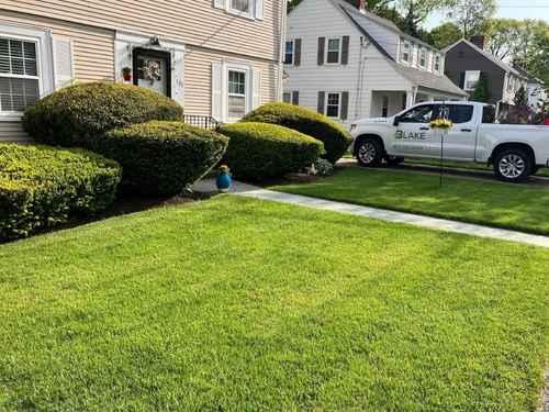 Plantings Arlington