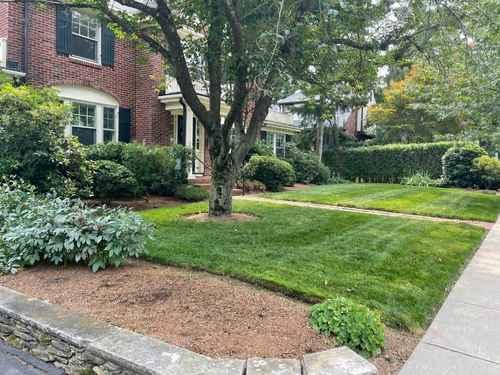 Fertilizing Arlington