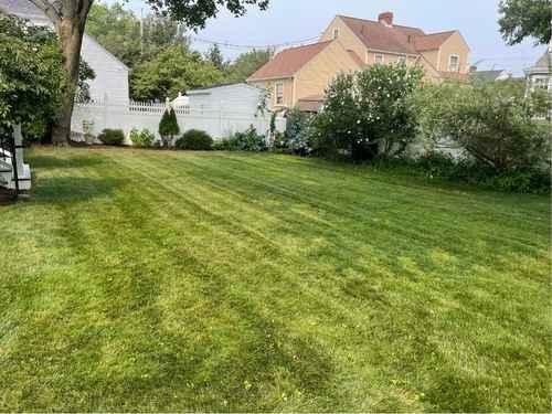 Lawn Maintenance 