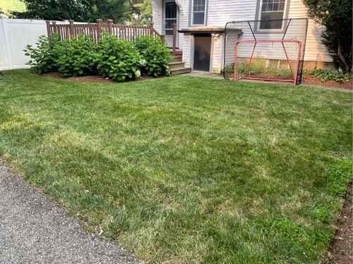 Lawn Maintenance Arlington