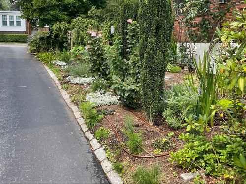 Lawn Maintenance Arlington