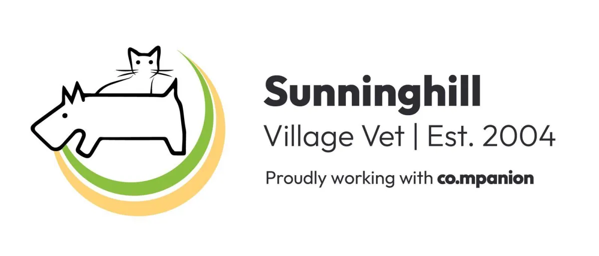 Sunninghill Village vet