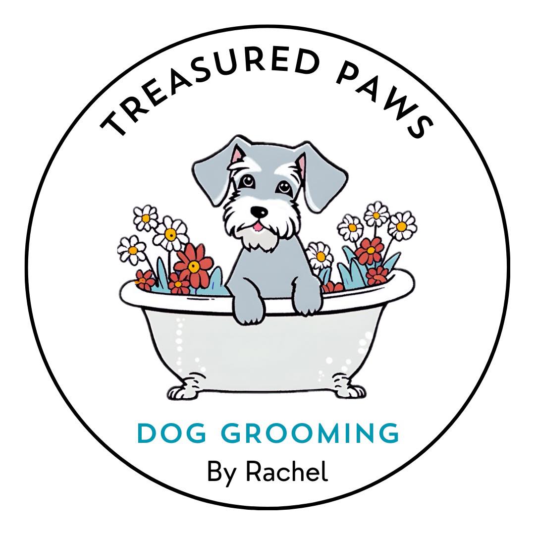 Expert and Friendly Dog Grooming Hull