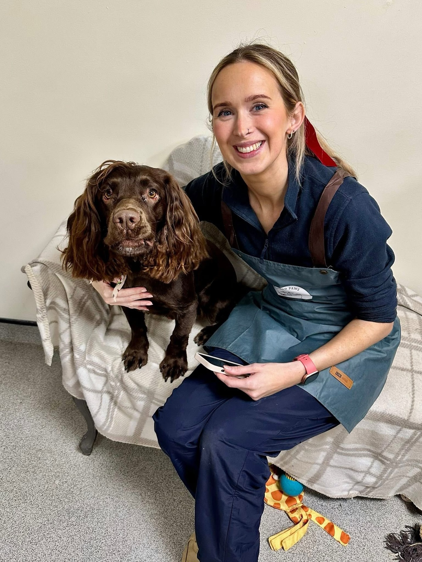 Expert and Friendly Dog Grooming Hull