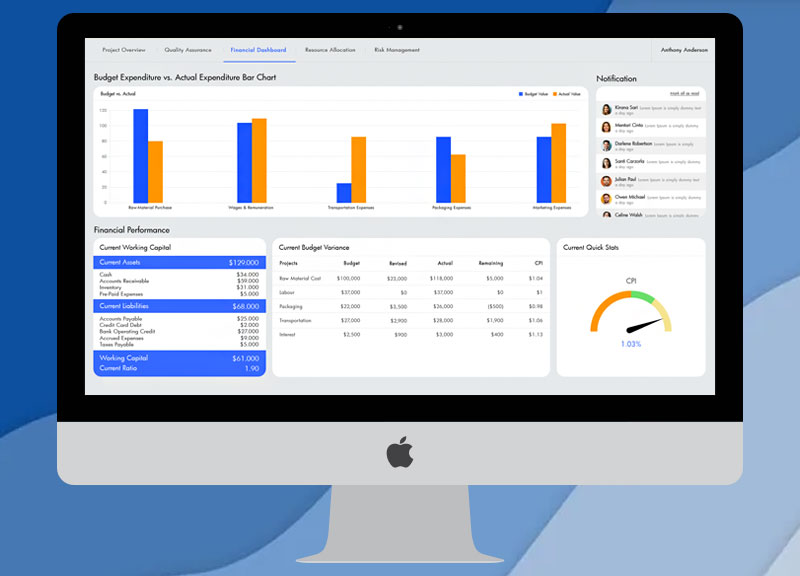 Financial Dashboards for CFO