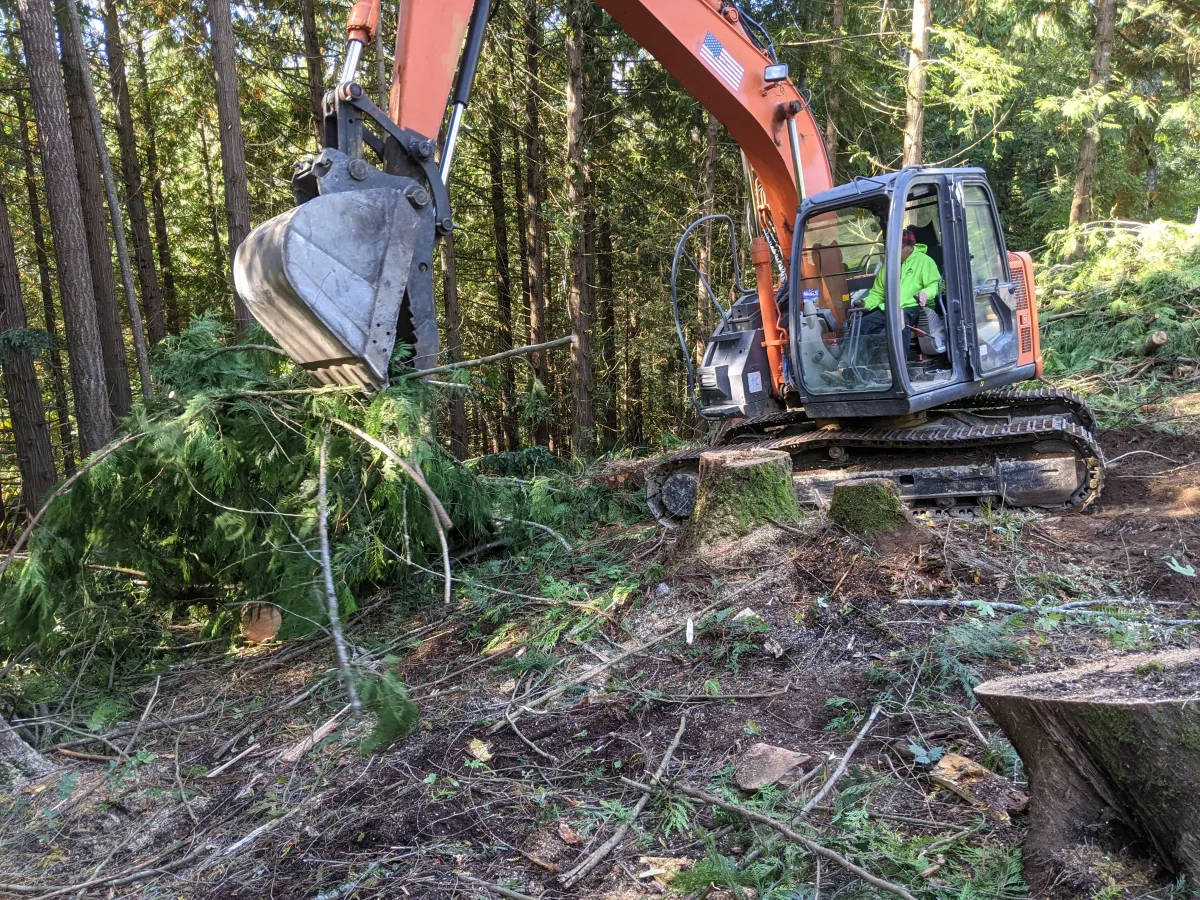 Excavation in Pierce and King Counties