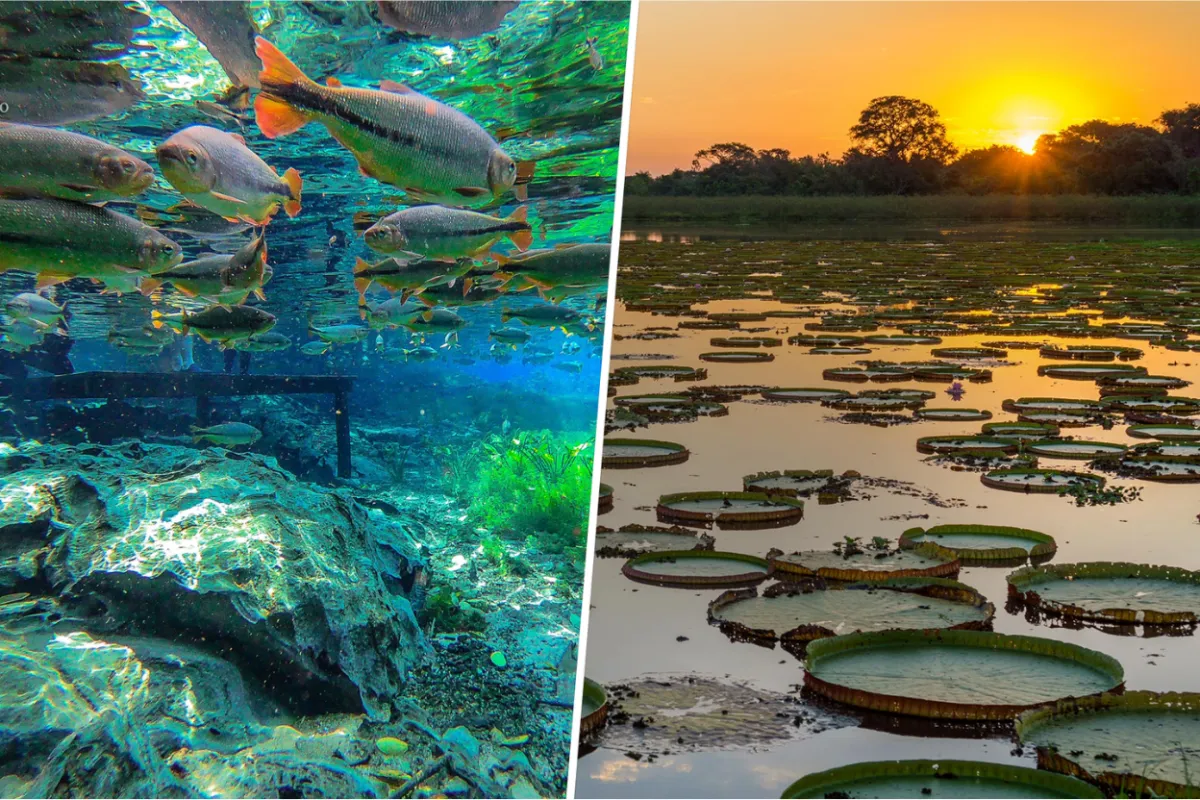 Rua histórica com guia explicando arquitetura a pequeno grupo, roteiro cultural Home Turismo.